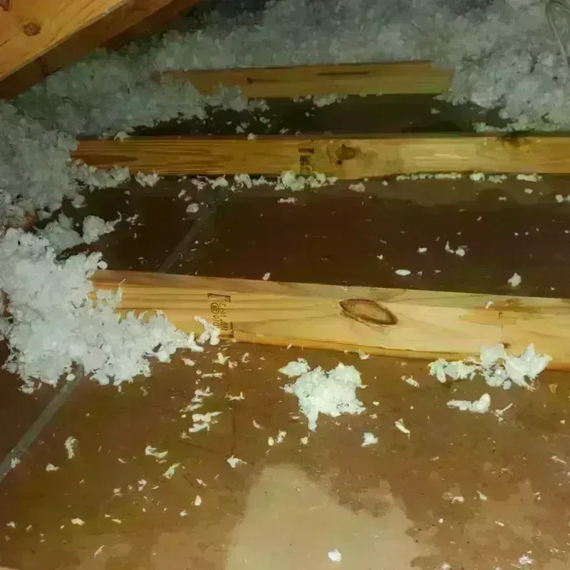 Attic Water Damage in Luzerne County, PA